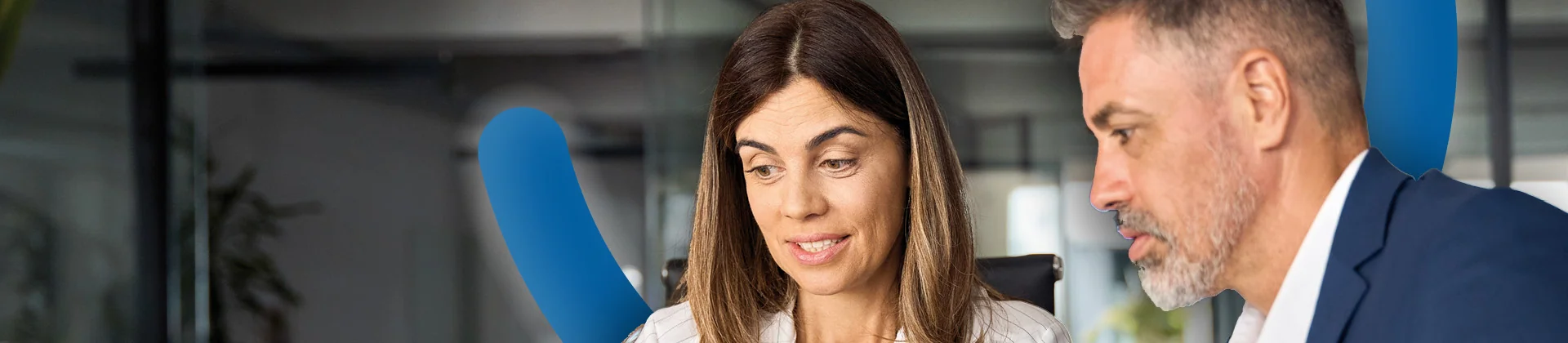 Banner image