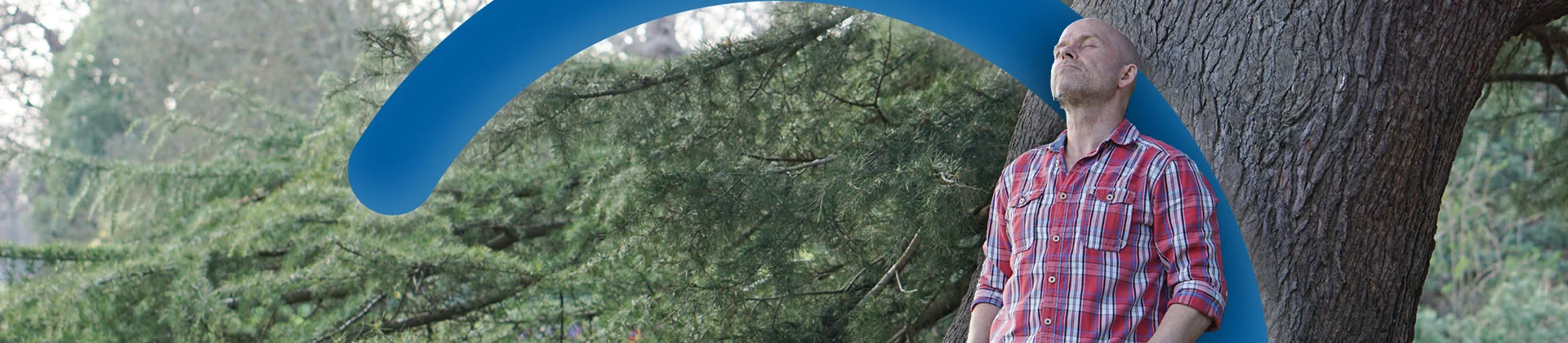 Banner image