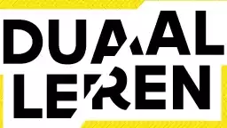 SW-Partners-Duaal-Leren-256X144.webp